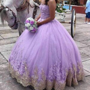 Brand New Quinceañera/sweet 16 dress